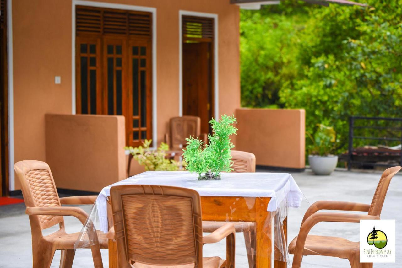 Pine Trees Homestay Nallathanniya Exterior photo