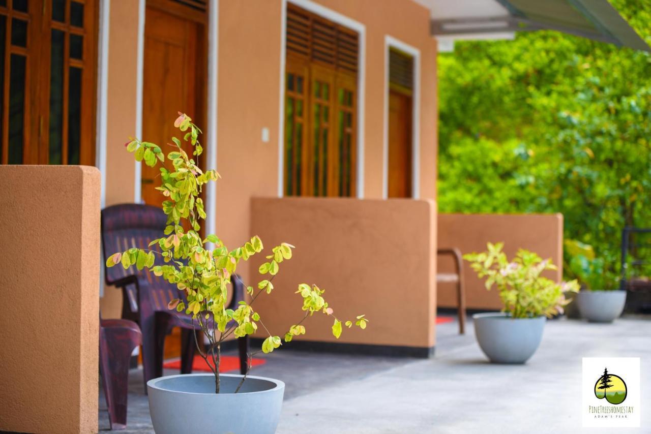 Pine Trees Homestay Nallathanniya Exterior photo