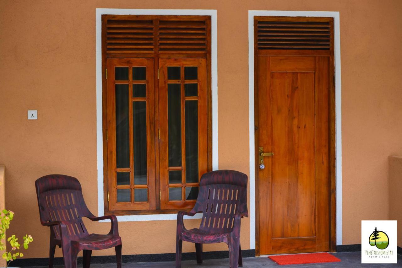 Pine Trees Homestay Nallathanniya Exterior photo
