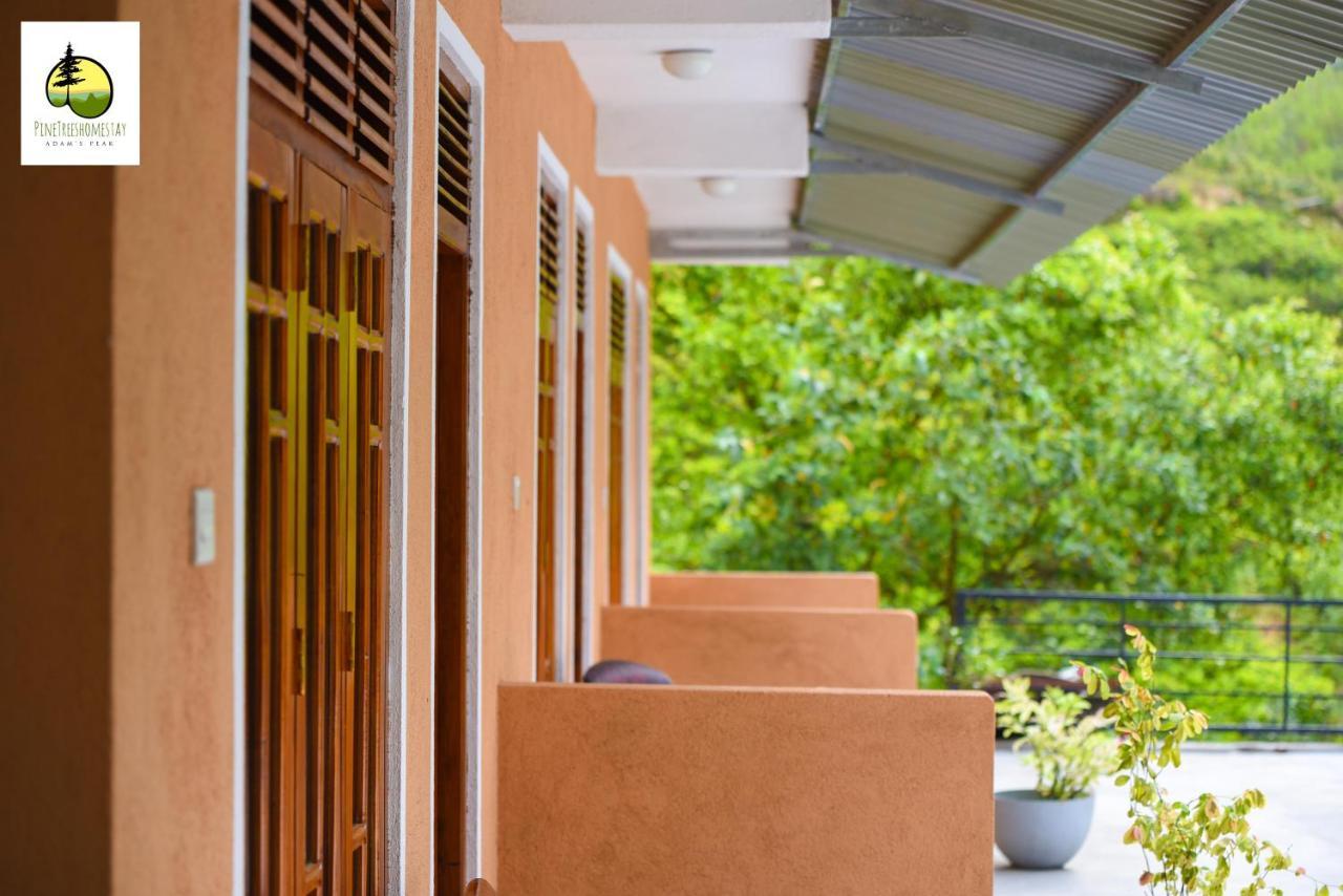 Pine Trees Homestay Nallathanniya Exterior photo