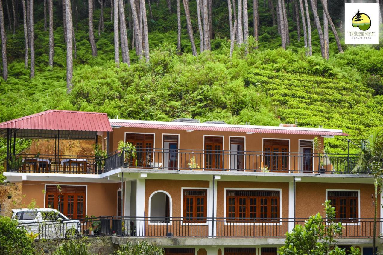 Pine Trees Homestay Nallathanniya Exterior photo